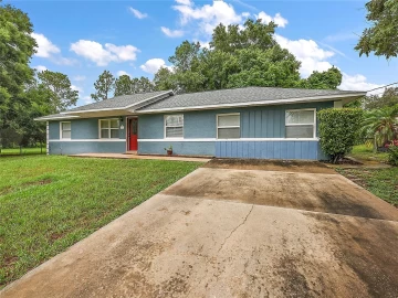 3940  Griffin View, LADY LAKE, FL 32159