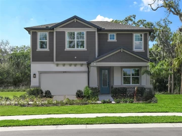 8259 TEA OLIVE TER, PALMETTO, 34221 FL