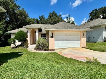 611 HURON PL, MOUNT DORA, 32757 FL