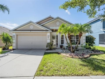 11314 MISTY ISLE LN, RIVERVIEW, 33579 FL