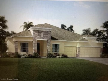 11639 SPOONBILL RUN DR, THONOTOSASSA, 33592 FL