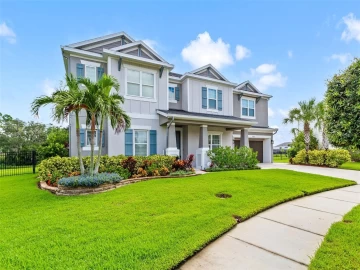 33668 WILLOW POINT CT, WESLEY CHAPEL, 33545 FL