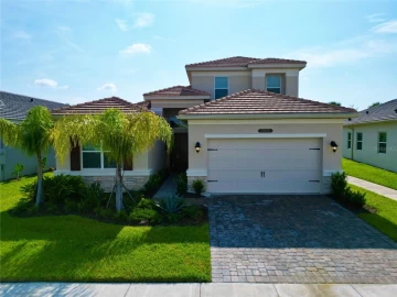 32676 TREE OF LIFE AVE, WESLEY CHAPEL, 33543 FL