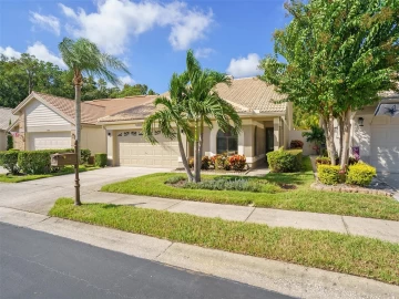 3664 DARSTON ST, PALM HARBOR, 34685 FL