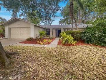 3184 WESSEX WAY, CLEARWATER, 33761 FL