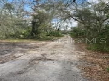 11616 BULLFROG CREEK RD, GIBSONTON, 33534 FL