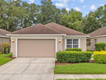 26417 WHIRLAWAY TER, WESLEY CHAPEL, 33544 FL