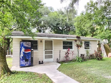 1115 W LIME ST, LAKELAND, 33815 FL