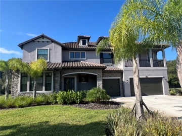 2815 CORDOBA RANCH BLVD, LUTZ, 33559 FL