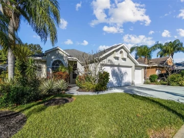 360 WOOD IBIS AVE, TARPON SPRINGS, 34689 FL