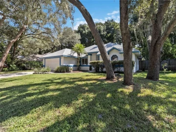 313 SUN OAKS CT, LAKE MARY, 32746 FL