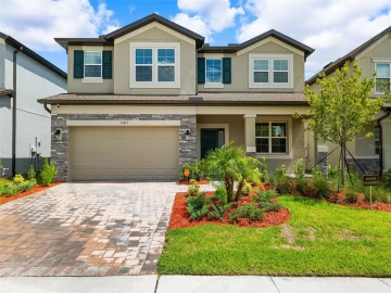 33263 SYCAMORE LEAF DR, WESLEY CHAPEL, 33545 FL