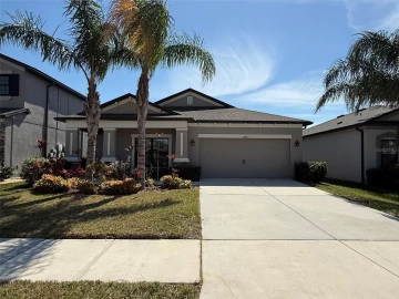 11407  Amapola Bloom, RIVERVIEW, FL 33579