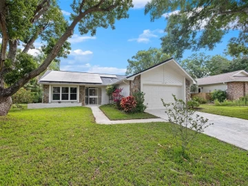 3319 E DORCHESTER DR, PALM HARBOR, 34684 FL