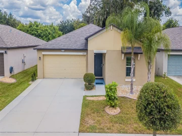 10033 CARAWAY SPICE AVE, RIVERVIEW, 33578 FL