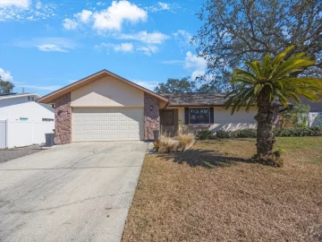 1036  Hamilton, TARPON SPRINGS, FL 34689