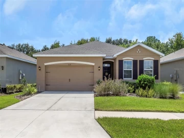 31510 TANSY BND, WESLEY CHAPEL, 33545 FL