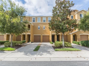 9013 WHITE SAGE LOOP #9013, LAKEWOOD RANCH, 34202 FL