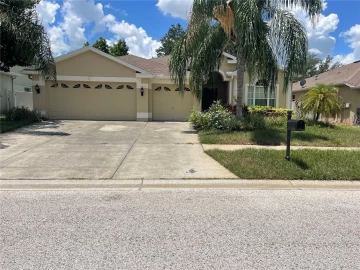 5825  Candytuft, LAND O LAKES, FL 34639