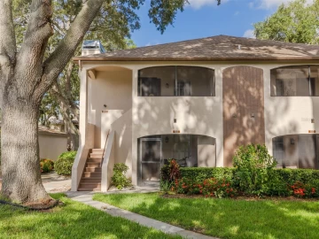 3008 BONAVENTURE CIR #203, PALM HARBOR, 34684 FL