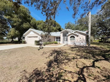 4 SANDPINE CT W, HOMOSASSA, 34446 FL