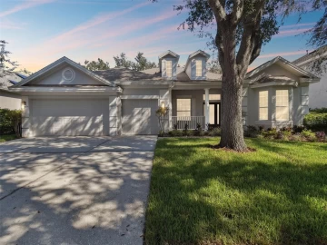 10244 SHADOW BRANCH DR, TAMPA, 33647 FL