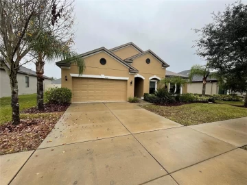 2928 SHETLAND RIDGE DR, VALRICO, 33596 FL