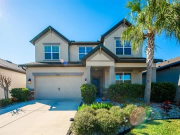 30450 CARAVELLE LN, WESLEY CHAPEL, 33545 FL