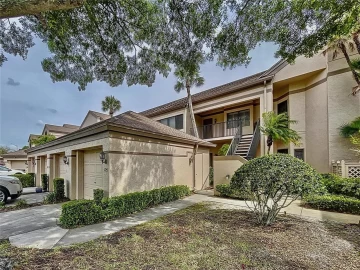 3044 RED OAK CT #204, PALM HARBOR, 34684 FL