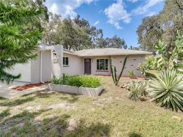 10521 CALICO LOOP, PORT RICHEY, 34668 FL