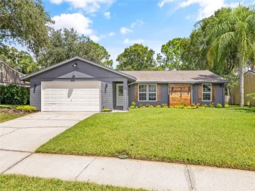 313 FAIRWOOD CT, OLDSMAR, 34677 FL