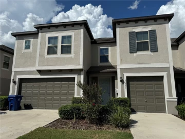 31941 BLUE PASSING LOOP, WESLEY CHAPEL, 33545 FL