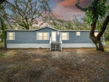 3228 SANDY DRIVE, ZEPHYRHILLS, 33541 FL