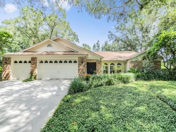 3901 BLUE MAIDENCANE PL, VALRICO, 33596 FL