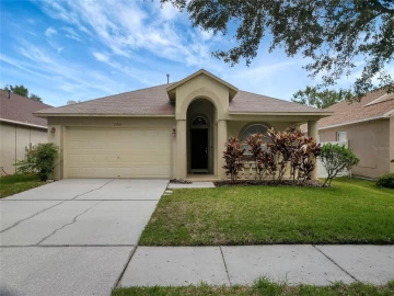 15306 LAKE BELLA VISTA DR, TAMPA, 33625 FL