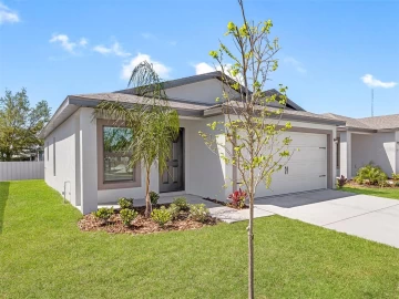 29514 FEDORA CIR, BROOKSVILLE, 34602 FL