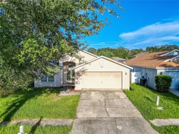 1121 SOARING OSPREY WAY, VALRICO, 33594 FL