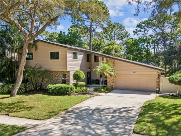 3047 ENISGLEN DR, PALM HARBOR, 34683 FL