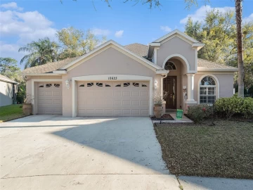 10623 PEARL BERRY LOOP, LAND O LAKES, 34638 FL