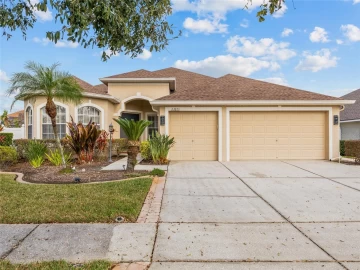 22623  Cliffside, LAND O LAKES, FL 34639