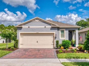 17346 BLAZING STAR CIR, CLERMONT, 34714 FL