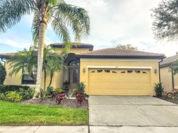 234 SILVER FALLS DR, APOLLO BEACH, 33572 FL