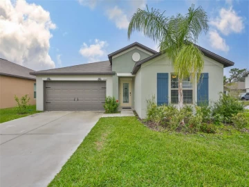 12928  Wildflower Meadow, RIVERVIEW, FL 33579