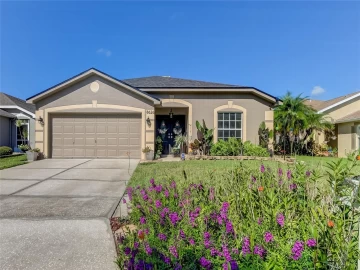 8626 TIDAL BAY LN, TAMPA, 33635 FL