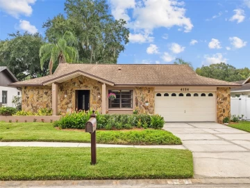 4124 HOLLOWTRAIL DR, TAMPA, 33624 FL