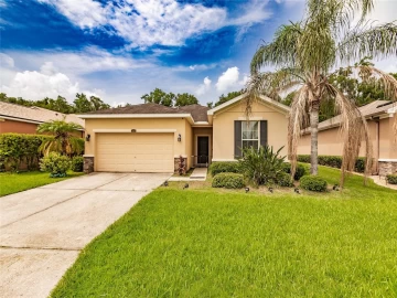 2629  Holly Bluff, PLANT CITY, FL 33566