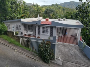 PR-184 GUAVATE WARD, CAYEY, 00736 PR