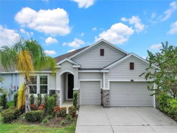 1073 MONTGOMERY BELL ROAD, WESLEY CHAPEL, 33543 FL