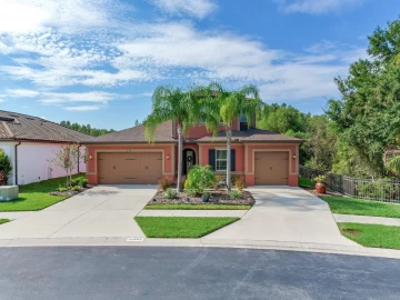 31982 BOURNEVILLE TER, WESLEY CHAPEL, 33543 FL