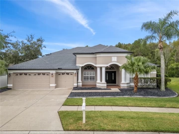 31716 BAYMONT LOOP, WESLEY CHAPEL, 33543 FL